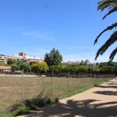 El ayuntamiento de Castellón impulsa la limpieza de más de 115 parcelas municipales y privadas durante 2025 y 2026 El ayuntamiento de Castellón impulsa la limpieza de más de 115 parcelas municipales y privadas durante 2025 y 2026