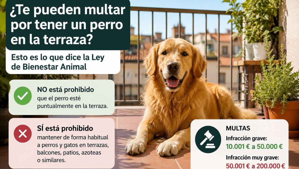 Animales en terrazas