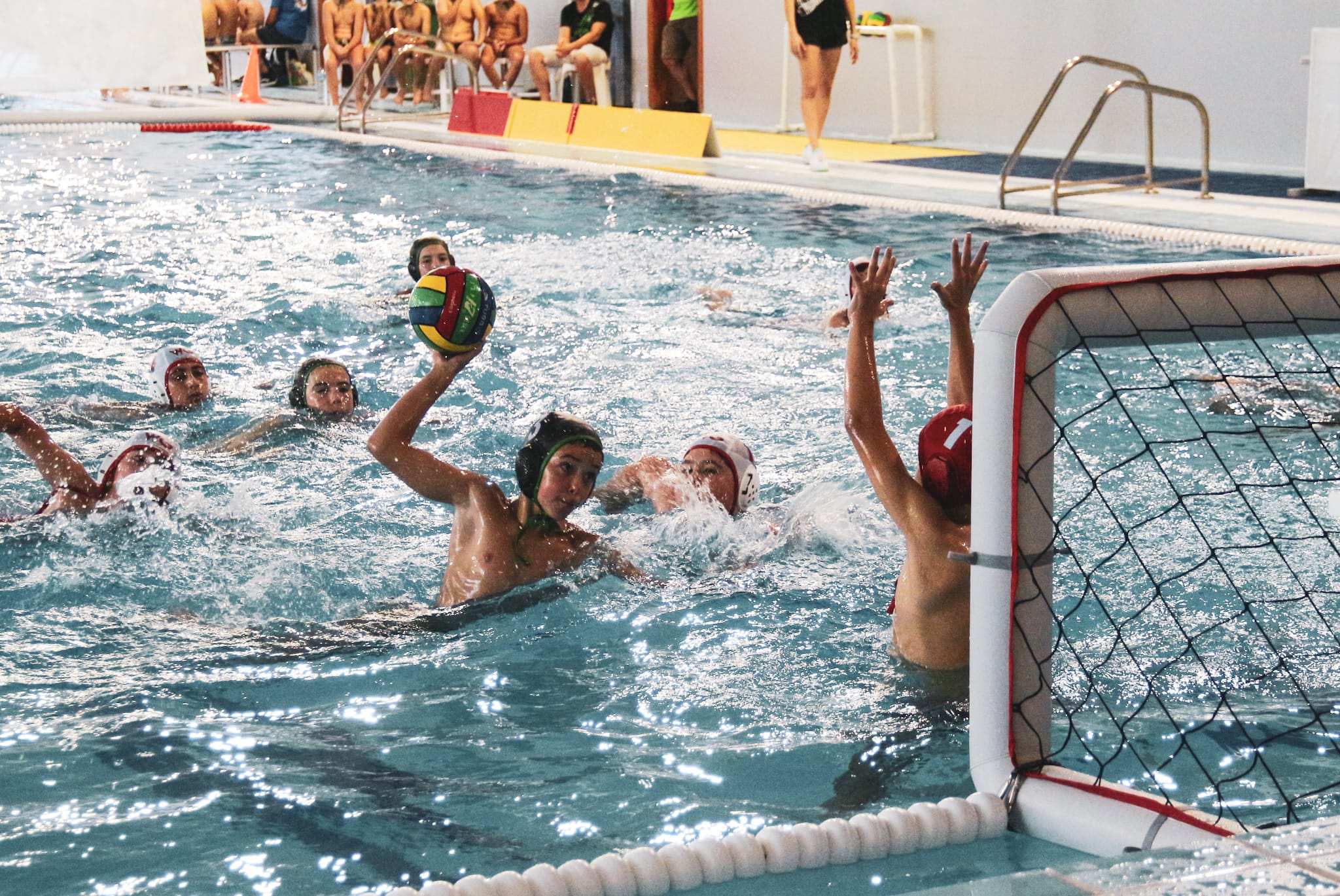 El Campeonato de España de Escuelas Alevín de waterpolo, de nuevo en Elche El Campeonato de España de Escuelas Alevín de waterpolo, de nuevo en Elche
