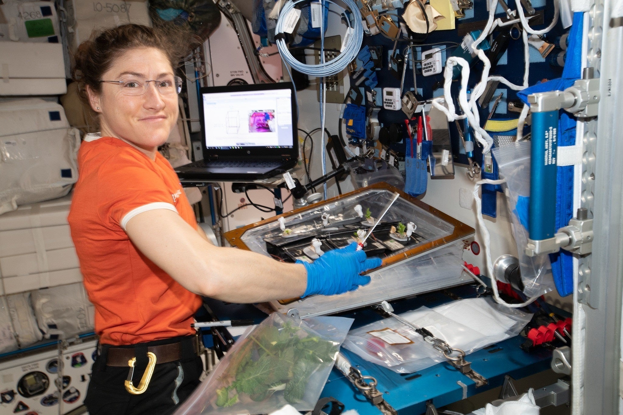 La astronauta estadounidense Christina Koch, Premio Princesa de Asturias de la Concordia 2026 La astronauta estadounidense Christina Koch, Premio Princesa de Asturias de la Concordia 2026