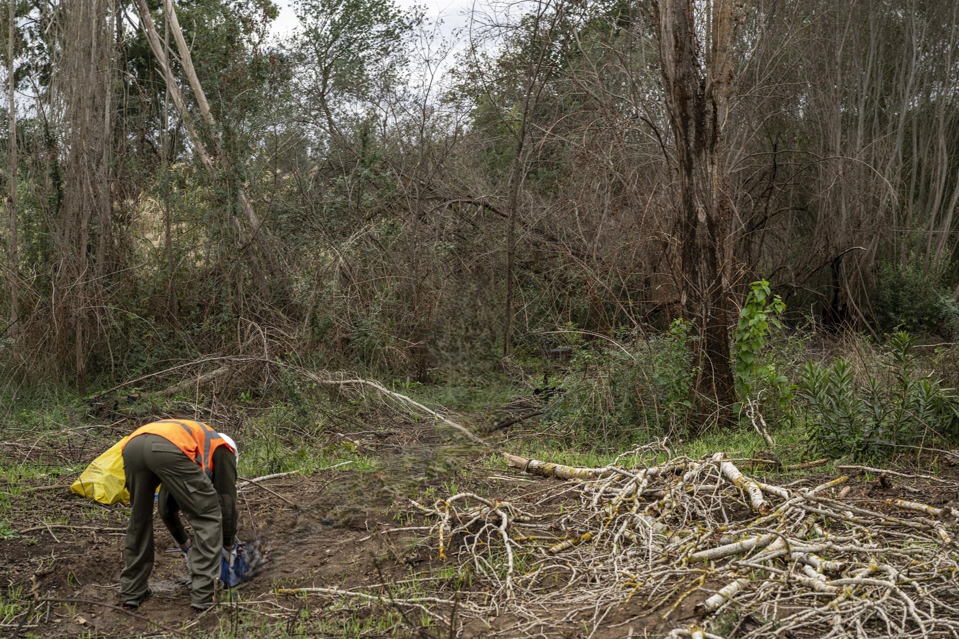 La Confederación Hidrográfica del Guadiana licita trabajos de saneamiento forestal en canales y embalses de la cuenca La Confederación Hidrográfica del Guadiana licita trabajos de saneamiento forestal en canales y embalses de la cuenca