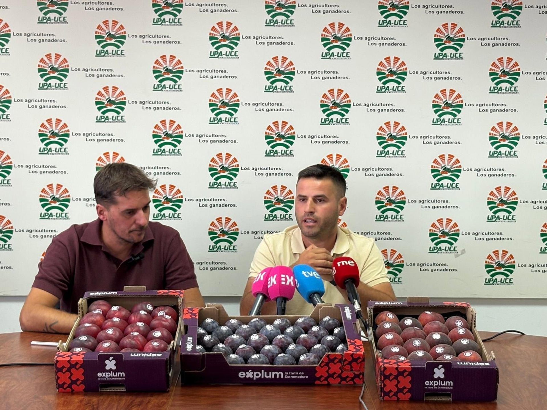 UPA-UCE Extremadura alerta de un incremento de hasta el 900% del precio de la fruta entre el agricultor y el consumidor UPA-UCE Extremadura alerta de un incremento de hasta el 900% del precio de la fruta entre el agricultor y el consumidor