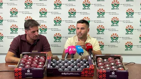UPA-UCE Extremadura alerta de un incremento de hasta el 900% del precio de la fruta entre el agricultor y el consumidor UPA-UCE Extremadura alerta de un incremento de hasta el 900% del precio de la fruta entre el agricultor y el consumidor