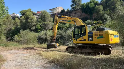 Vila-real inicia la restauración de casi 6.000 metros cuadrados de ecosistemas de ribera en el Millars con una inversión de 134.000 euros Vila-real inicia la restauración de casi 6.000 metros cuadrados de ecosistemas de ribera en el Millars con una inversión de 134.000 euros