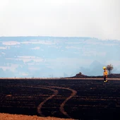 Diumenge iniciem la primera onada de calor de l'estiu Diumenge iniciem la primera onada de calor de l'estiu