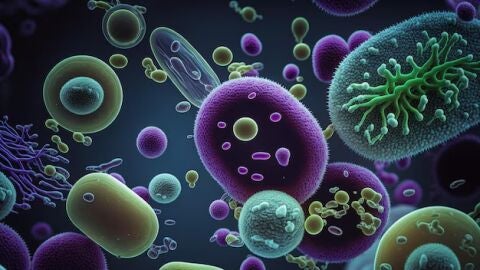 Bacterias 