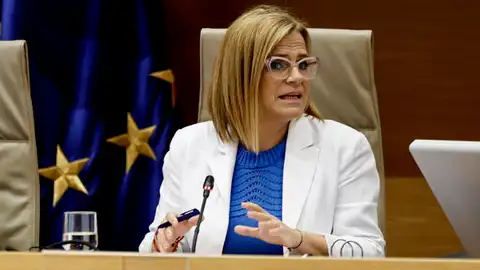 La delegada del Gobierno en la Comunitat Valenciana, Pilar Bernabé, durante su comparecencia en la comisión de investigación sobre la dana en el Congreso de los Diputados. La delegada del Gobierno en la Comunitat Valenciana, Pilar Bernabé, durante su comparecencia en la comisión de investigación sobre la dana en el Congreso de los Diputados.