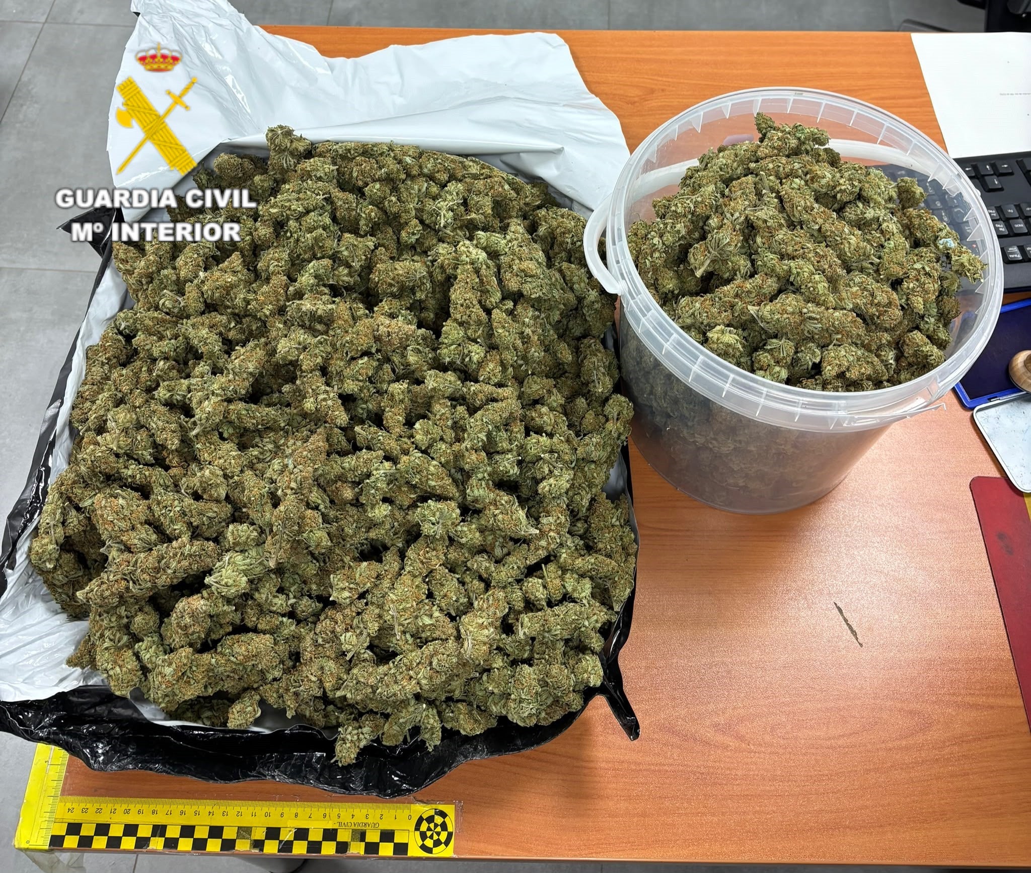 Desmantelado un punto de almacenamiento de marihuana en Vall d'Alba con cuatro detenidos Desmantelado un punto de almacenamiento de marihuana en Vall d'Alba con cuatro detenidos