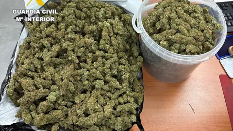 Desmantelado un punto de almacenamiento de marihuana en Vall d'Alba con cuatro detenidos Desmantelado un punto de almacenamiento de marihuana en Vall d'Alba con cuatro detenidos