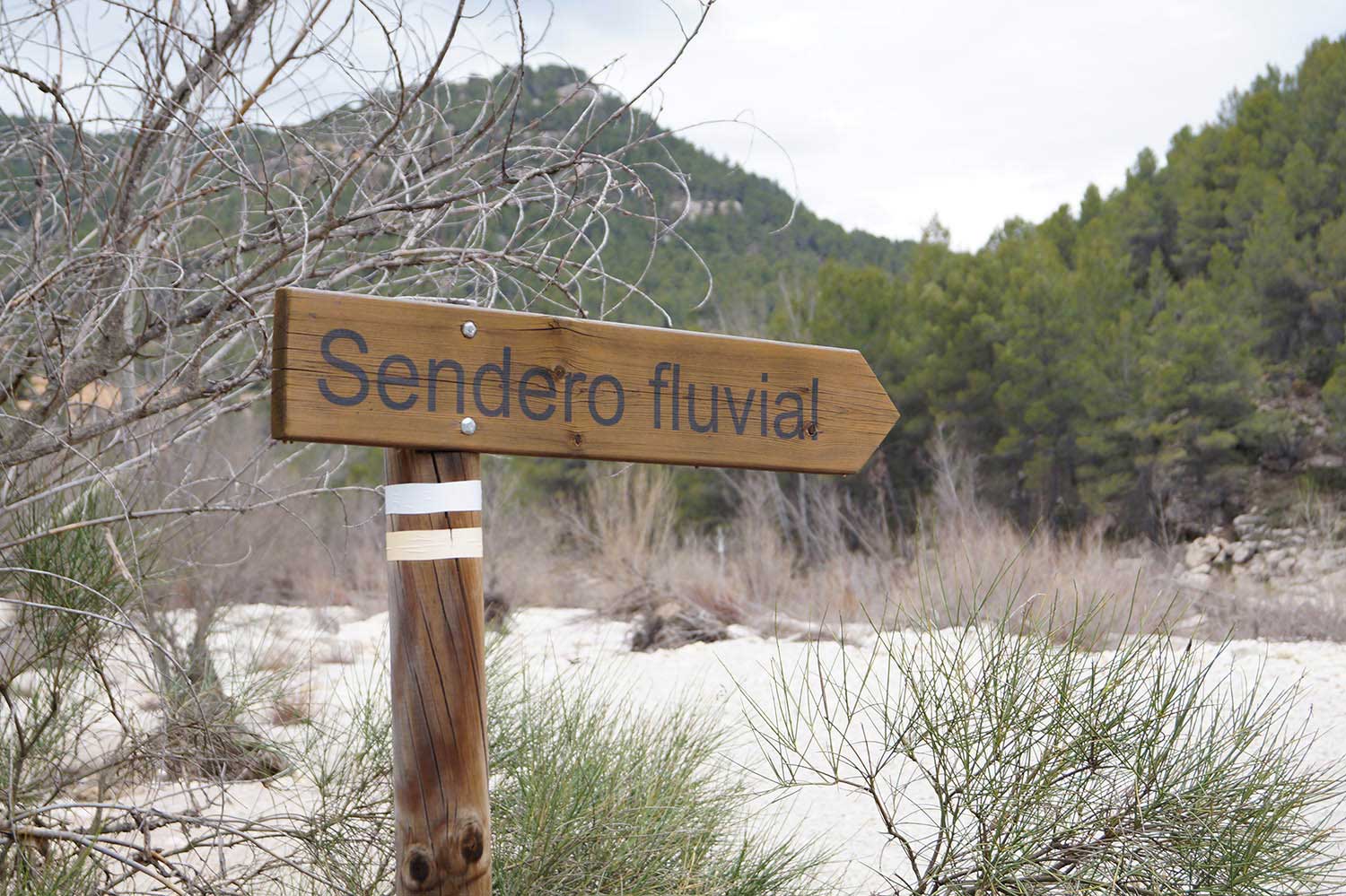 La Generalitat impulsa 15 rutas de senderismo en el interior de Castellón para potenciar el turismo de naturaleza y frenar la despoblación La Generalitat impulsa 15 rutas de senderismo en el interior de Castellón para potenciar el turismo de naturaleza y frenar la despoblación