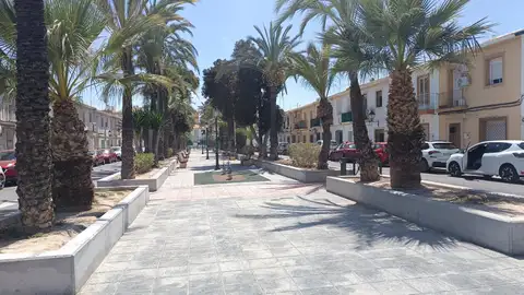 Paseo Obispo Barrachina de Elche. Paseo Obispo Barrachina de Elche.