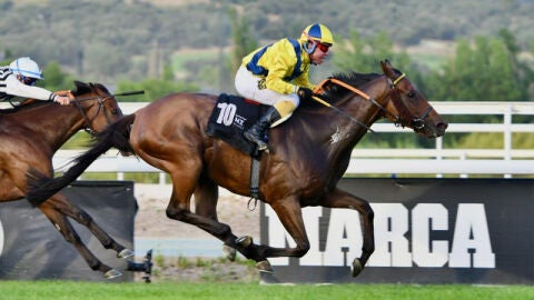 Diego Sarabia