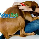 VETERPET VETERPET