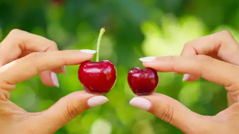 La DOP Cereza del Jerte presenta diez claves para diferenciar las cerezas de las picotas La DOP Cereza del Jerte presenta diez claves para diferenciar las cerezas de las picotas