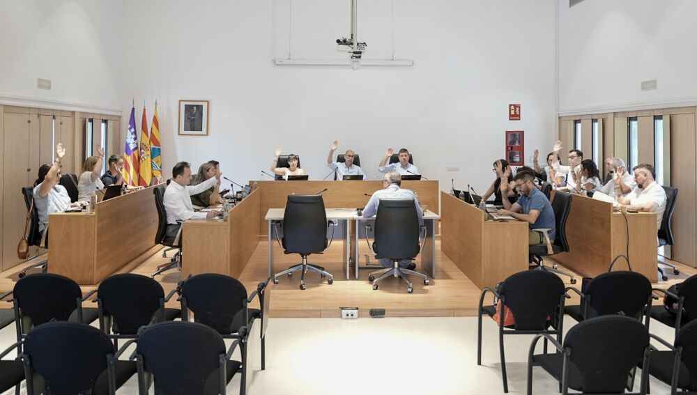Imagen del Debate sobre el estado de la isla