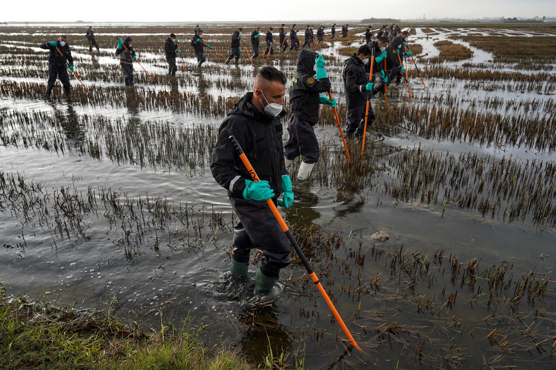 Archivo - Varios agentes de la Guardia Civil siguen buscando cuerpos en la Albufera, a 15 de noviembre de 2024. Archivo - Varios agentes de la Guardia Civil siguen buscando cuerpos en la Albufera, a 15 de noviembre de 2024.