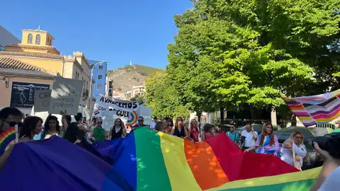 Marcha Orgullo LGTBIQ+ Marcha Orgullo LGTBIQ+