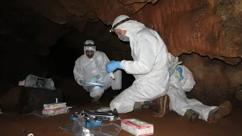 Un proyecto arqueológico impulsado por la Junta revela que el ADN humano puede preservarse en las paredes de las cuevas Un proyecto arqueológico impulsado por la Junta revela que el ADN humano puede preservarse en las paredes de las cuevas