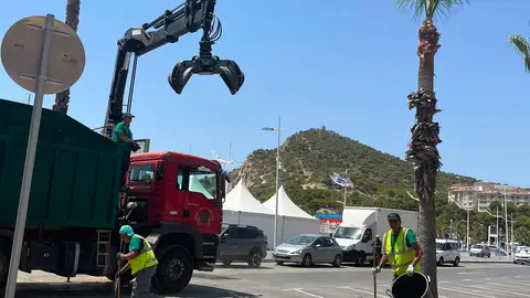 Finestrat continúa trabajando en la poda y saneamiento de cerca de 300 palmeras Finestrat continúa trabajando en la poda y saneamiento de cerca de 300 palmeras