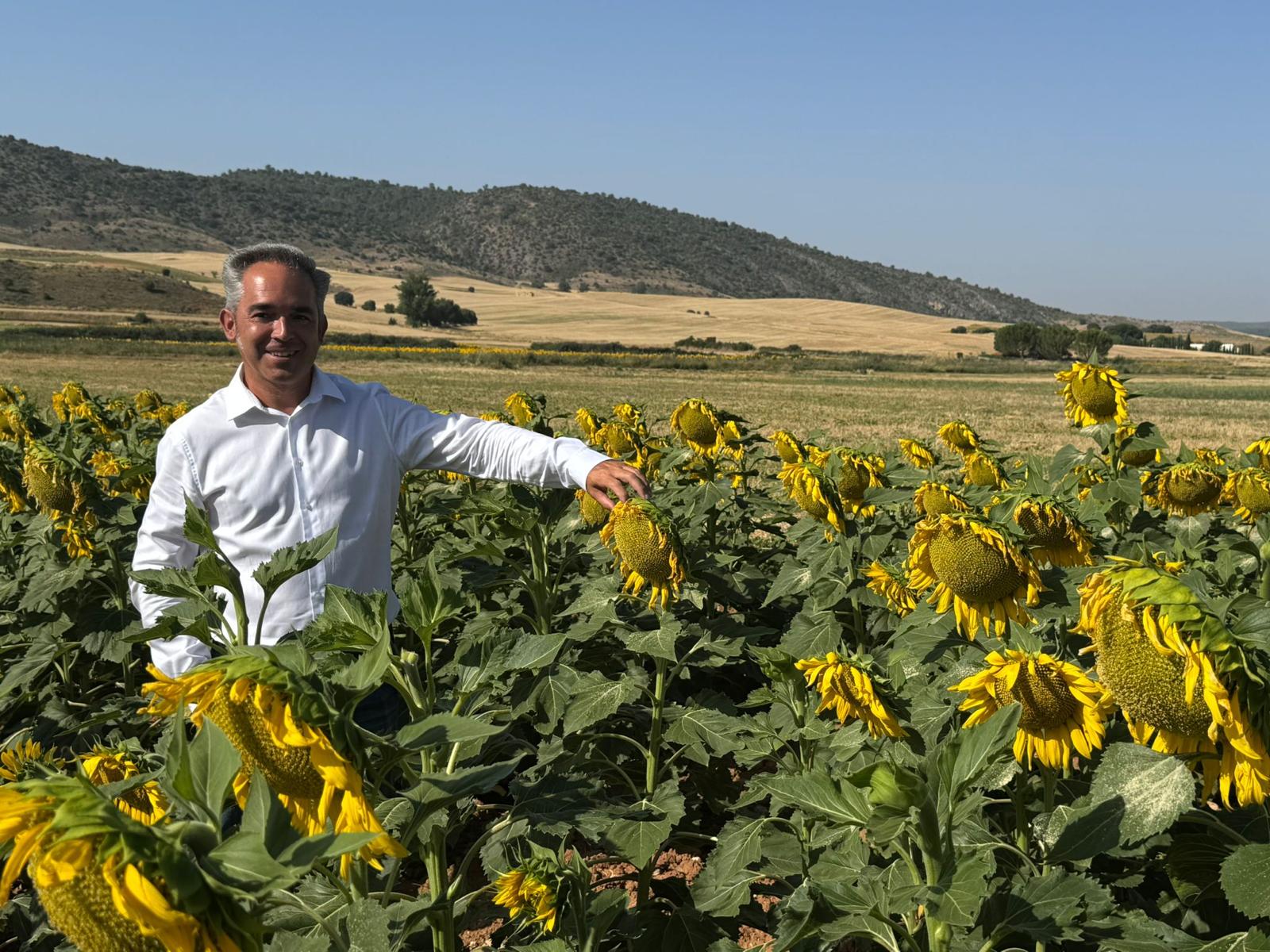 El Gobierno regional abona 3,3 millones de euros de la PAC a 529 agricultores de Cuenca por las ayudas al girasol medioambiental El Gobierno regional abona 3,3 millones de euros de la PAC a 529 agricultores de Cuenca por las ayudas al girasol medioambiental