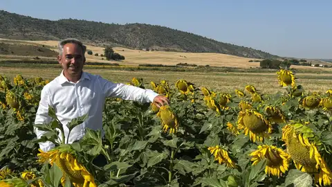 El delegado provincial de Agricultura, Ganadería y Desarrollo Rural, Rodrigo Fernández El delegado provincial de Agricultura, Ganadería y Desarrollo Rural, Rodrigo Fernández