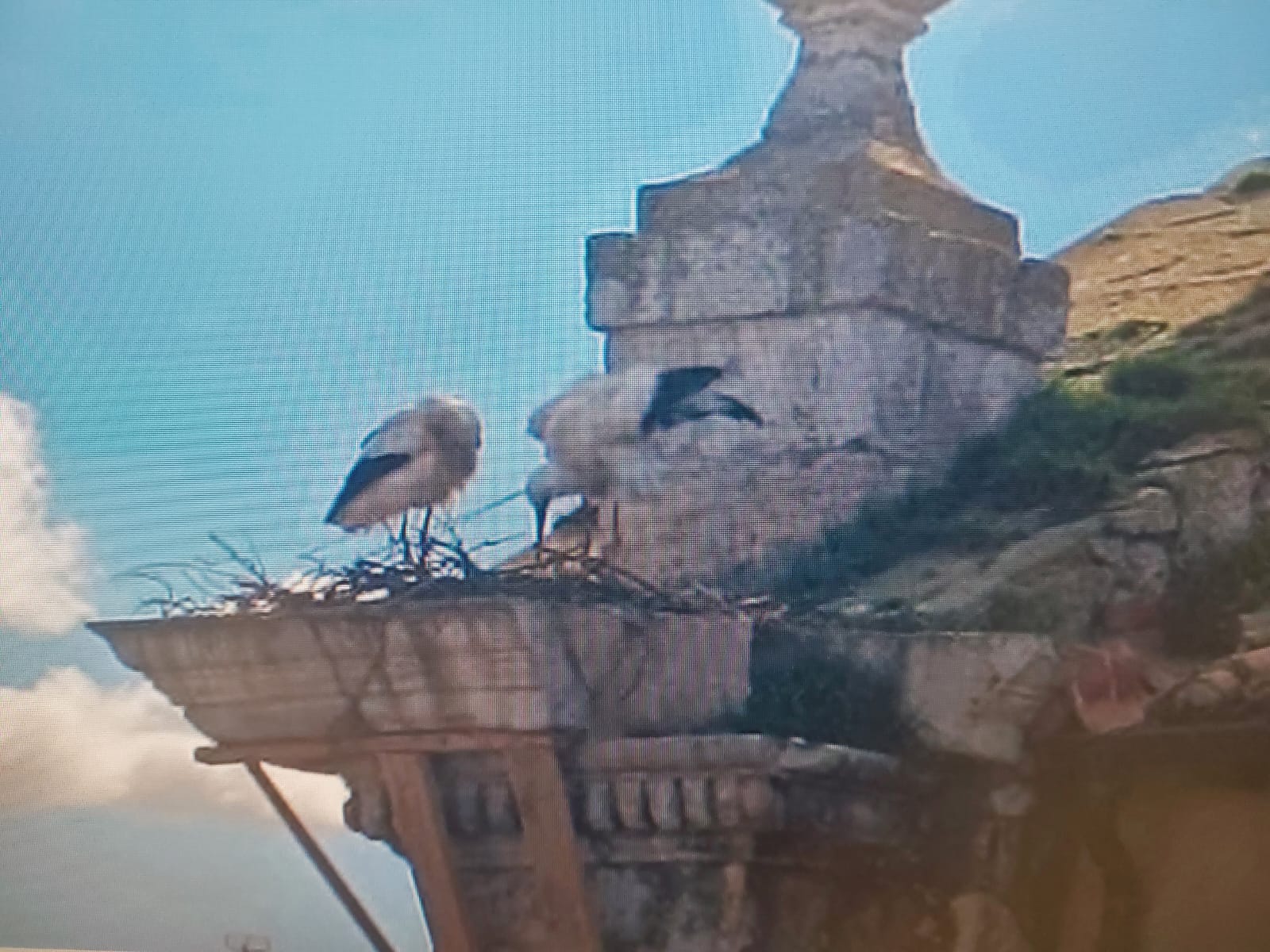 Comienzan las obras de rehabilitación de la espadaña de la Iglesia parroquial de la Virgen de la Calle. Comienzan las obras de rehabilitación de la espadaña de la Iglesia parroquial de la Virgen de la Calle.