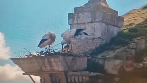 Comienzan las obras de rehabilitación de la espadaña de la Iglesia parroquial de la Virgen de la Calle. .