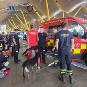 Bomberos de Málaga se van a Venezuela Bomberos de Málaga se van a Venezuela