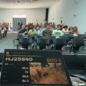 133ª Subasta de sementales de raza ovina manchega