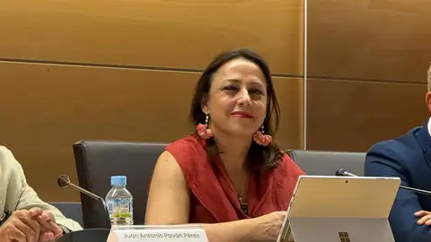Ara Sánchez Vera destaca los avances en la reducción de la brecha salarial en los últimos años en Extremadura Ara Sánchez Vera destaca los avances en la reducción de la brecha salarial en los últimos años en Extremadura