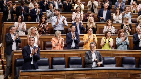 El presidente del Gobierno, Pedro S&aacute;nchez (izda), aplaude junto a los diputados de su grupo en el hemiciclo del Congreso