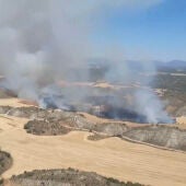 Un incendio forestal en Tamarite (Huesca) obliga al desalojo de dos núcleos urbanos. 