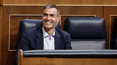 El presidente del Gobierno, Pedro Sánchez (c), asiste al último pleno ordinario del período de sesiones El presidente del Gobierno, Pedro Sánchez (c), asiste al último pleno ordinario del período de sesiones