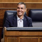 El presidente del Gobierno, Pedro Sánchez (c), asiste al último pleno ordinario del período de sesiones