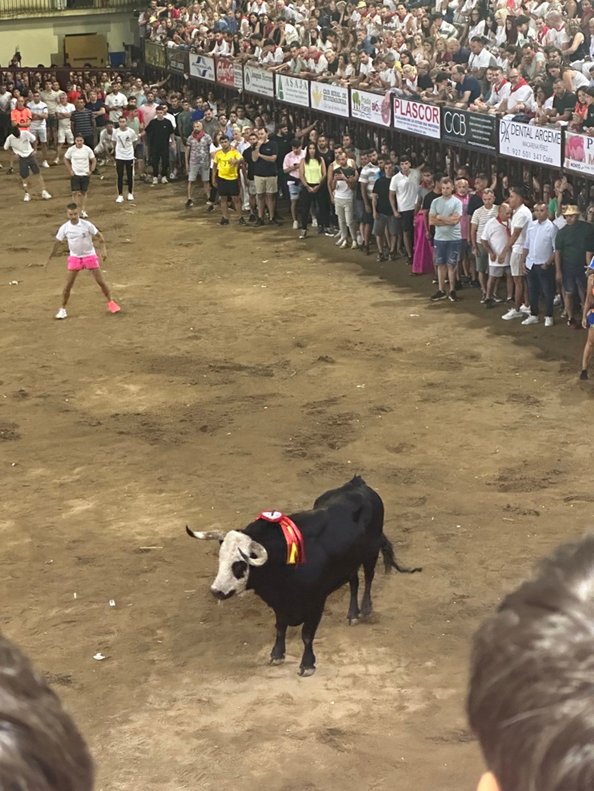Un toro hiere de gravedad a un joven de 29 años en la madrugada de este domingo durante los festejos de San Juan en Coria Un toro hiere de gravedad a un joven de 29 años en la madrugada de este domingo durante los festejos de San Juan en Coria