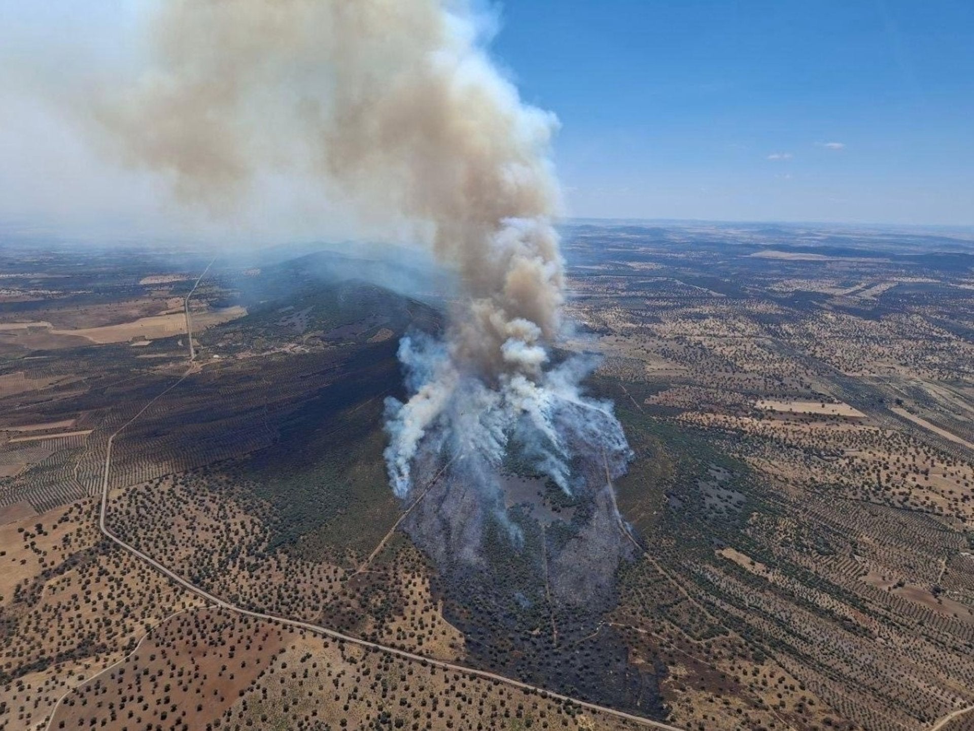 Evolución favorable y desactivado el nivel 1 de peligrosidad en un incendio forestal en Castuera que ha afectado a casi 200 hectáreas Evolución favorable y desactivado el nivel 1 de peligrosidad en un incendio forestal en Castuera que ha afectado a casi 200 hectáreas
