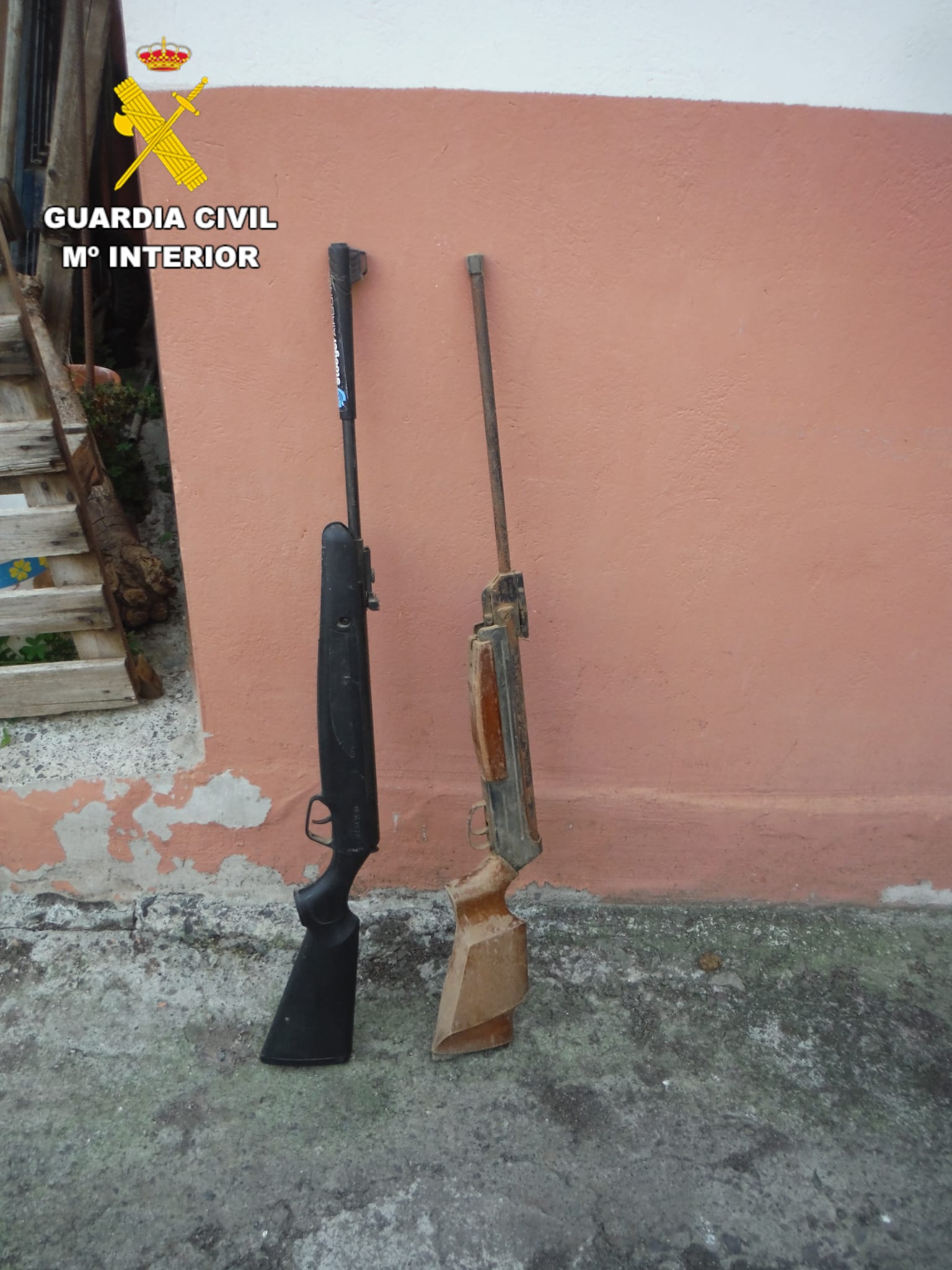 La Guardia Civil detiene a un vecino de Valsequillo por la muerte a tiros de dos perros La Guardia Civil detiene a un vecino de Valsequillo por la muerte a tiros de dos perros