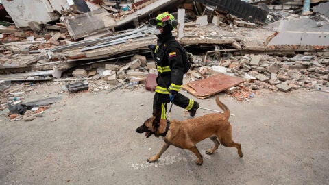  Un rescatista colombiano junto a su perro realiza labores de b&uacute;squeda de personas desaparecidas en una zona afectada por los terremotos, este domingo, en Catia La Mar (Venezuela). 