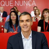 El secretario general del PSOE, Pedro Sánchez, durante la reunión del Comité Federal del Partido, este sábado.E