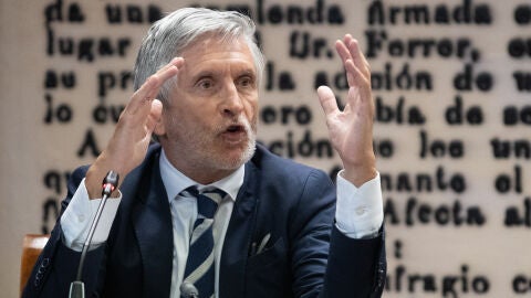 Marlaska, durante su intervención en el senado Marlaska, durante su intervención en el senado