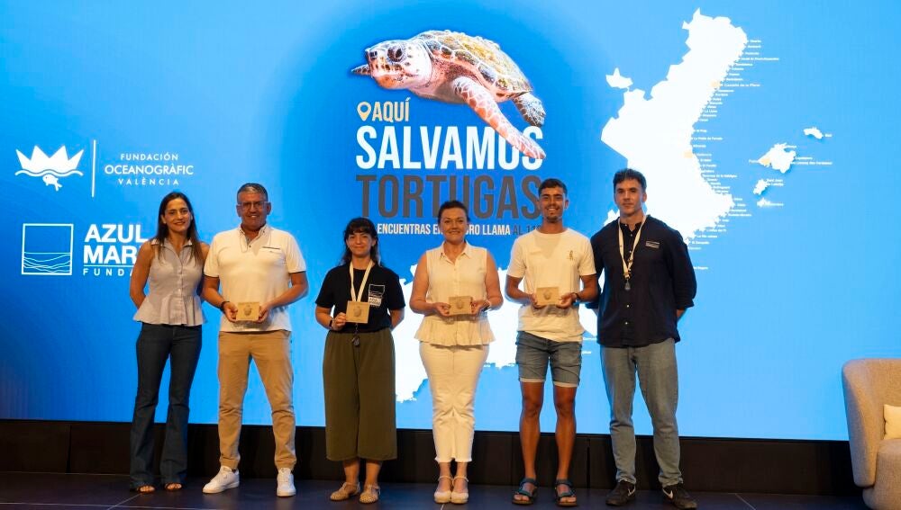salvar tortugas 