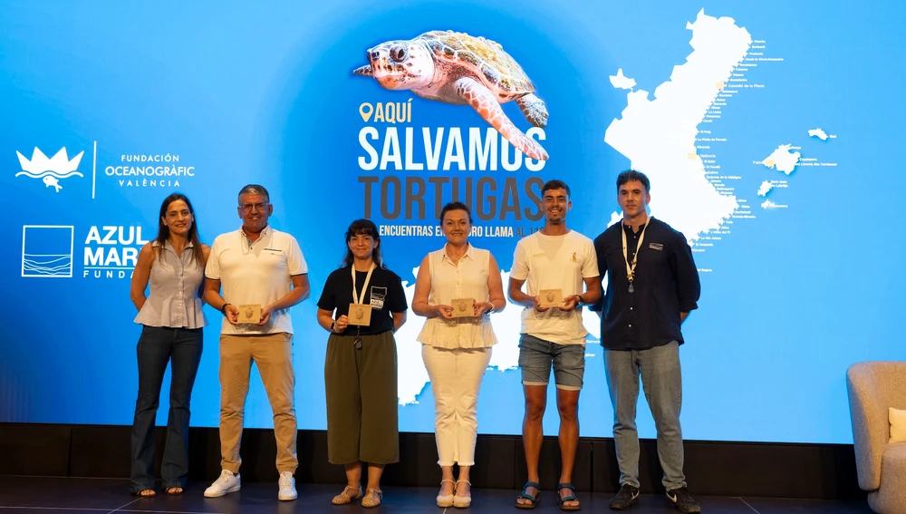 salvar tortugas salvar tortugas