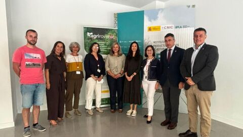 El CSIC presenta las posibilidades comerciales de la Rosa de Cangas del Narcea.