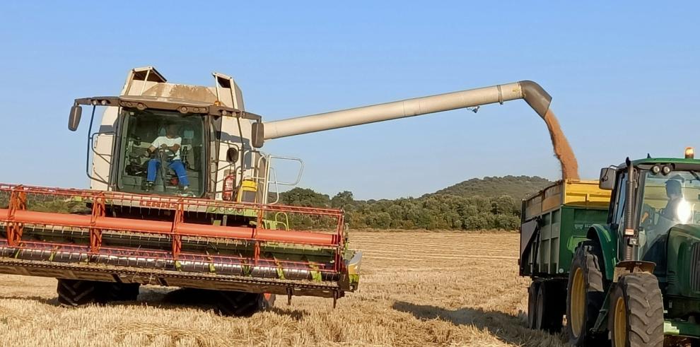Los agricultores turolenses esperan la evaluación de los daños del pedrisco Los agricultores turolenses esperan la evaluación de los daños del pedrisco