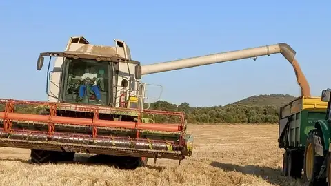 Los agricultores turolenses esperan la evaluación de los daños del pedrisco Los agricultores turolenses esperan la evaluación de los daños del pedrisco