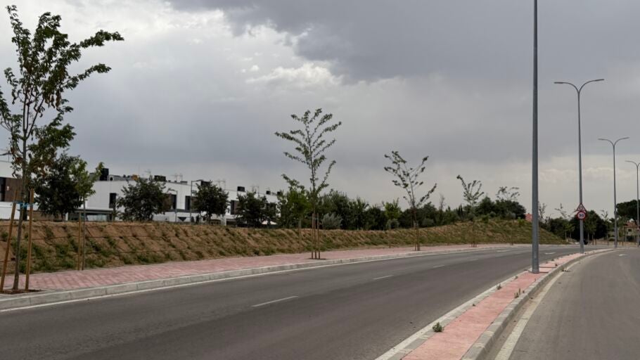 Nuevo talud vegetal en la Ronda Sur de Torrej&oacute;n de Ardoz de Ardoz