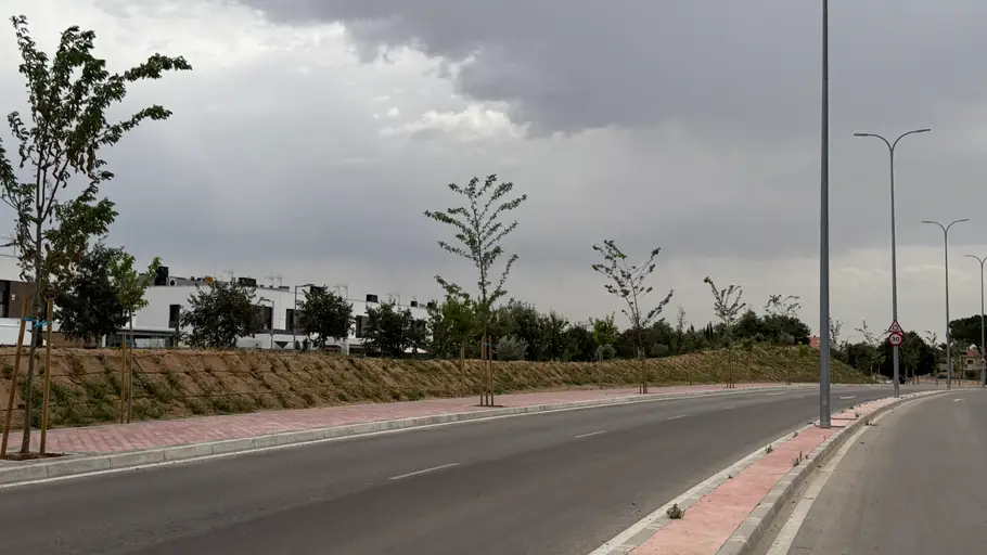 El Ayuntamiento de Torrejón de Ardoz invierte más de 330.000 en la renaturalización de dos nuevas rotondas en la Ronda Sur y un talud vegetal Nuevo talud vegetal en la Ronda Sur de Torrejón de Ardoz de Ardoz