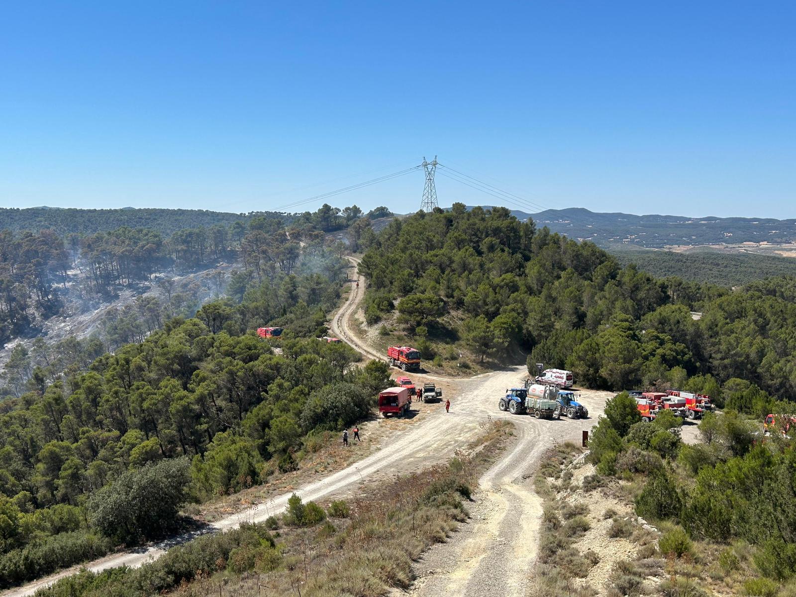 Aragón pide declarar zona catastrófica el área de Leciñena Aragón pide declarar zona catastrófica el área de Leciñena