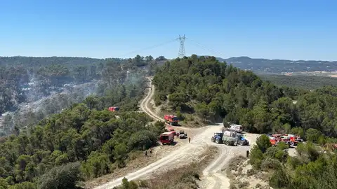 Incendio de Leciñena Incendio de Leciñena
