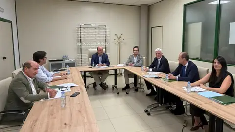 La Junta y Agroseguro consideran prioritario mejorar los seguros de la cereza para optimizar coberturas La Junta y Agroseguro consideran prioritario mejorar los seguros de la cereza para optimizar coberturas